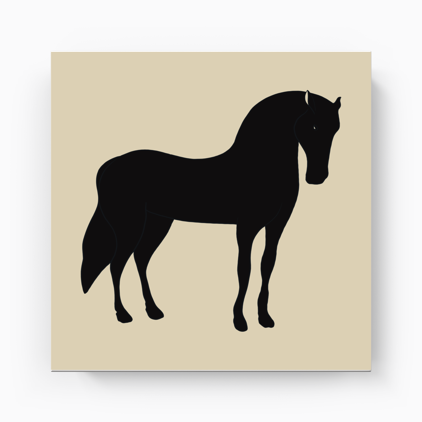 Black Horse II - Canvas Print