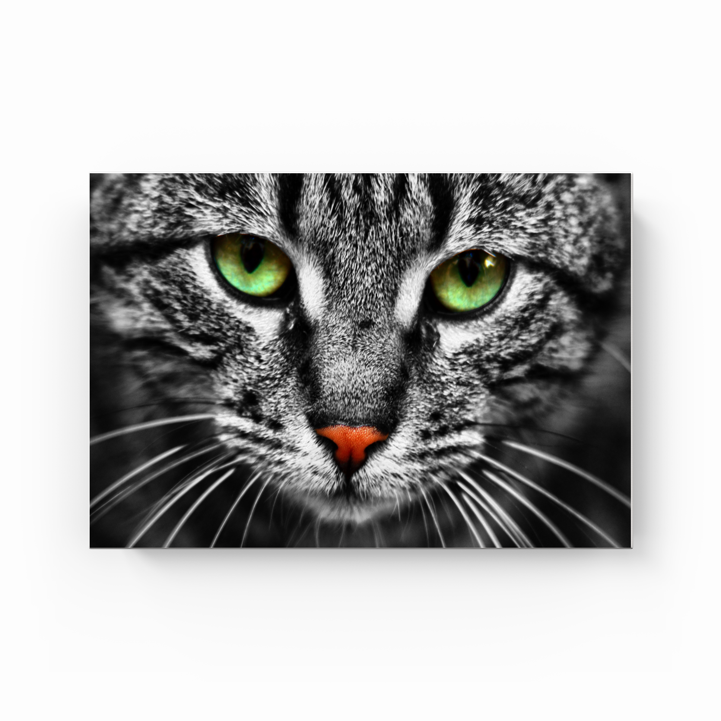 Cat Eyes - Kanvas Tablo