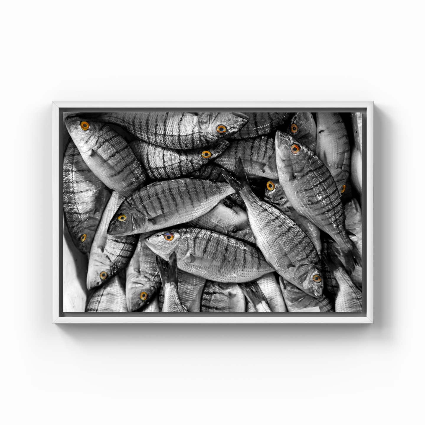 Balıklar - Kanvas Tablo
