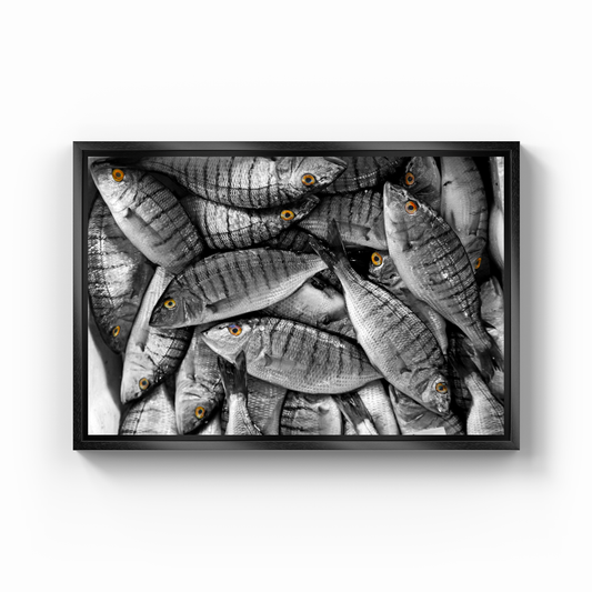 Balıklar - Kanvas Tablo