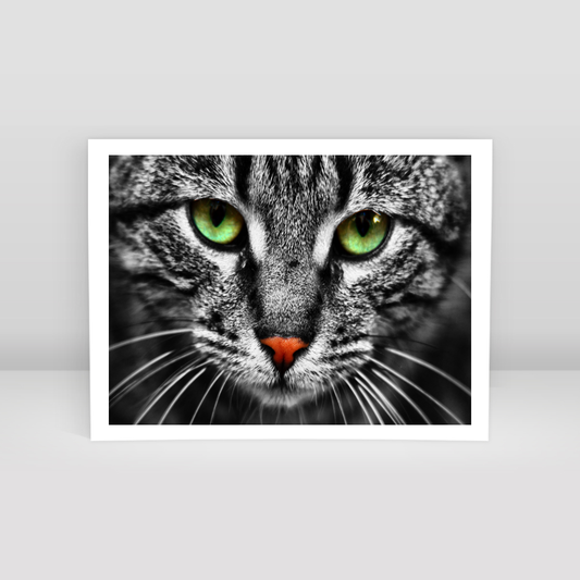 Cat Eyes - Art Print