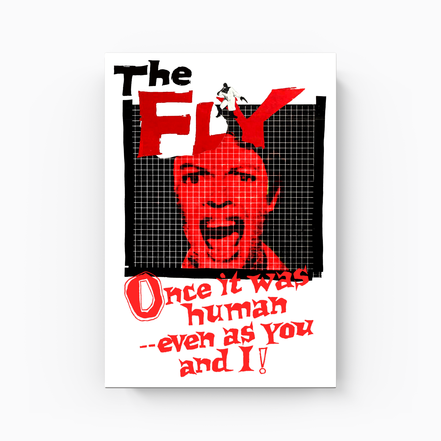 The Fly - Canvas Print