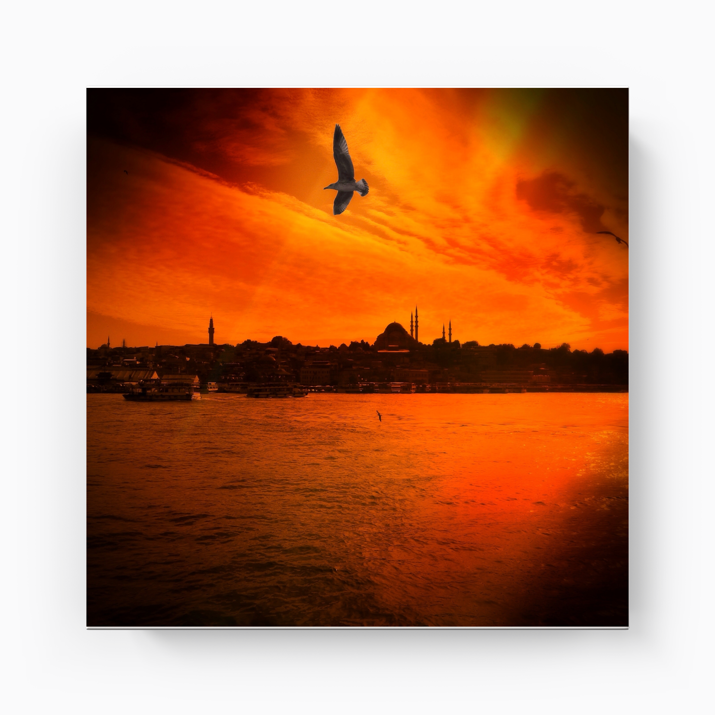 Red Istanbul - Canvas Painting