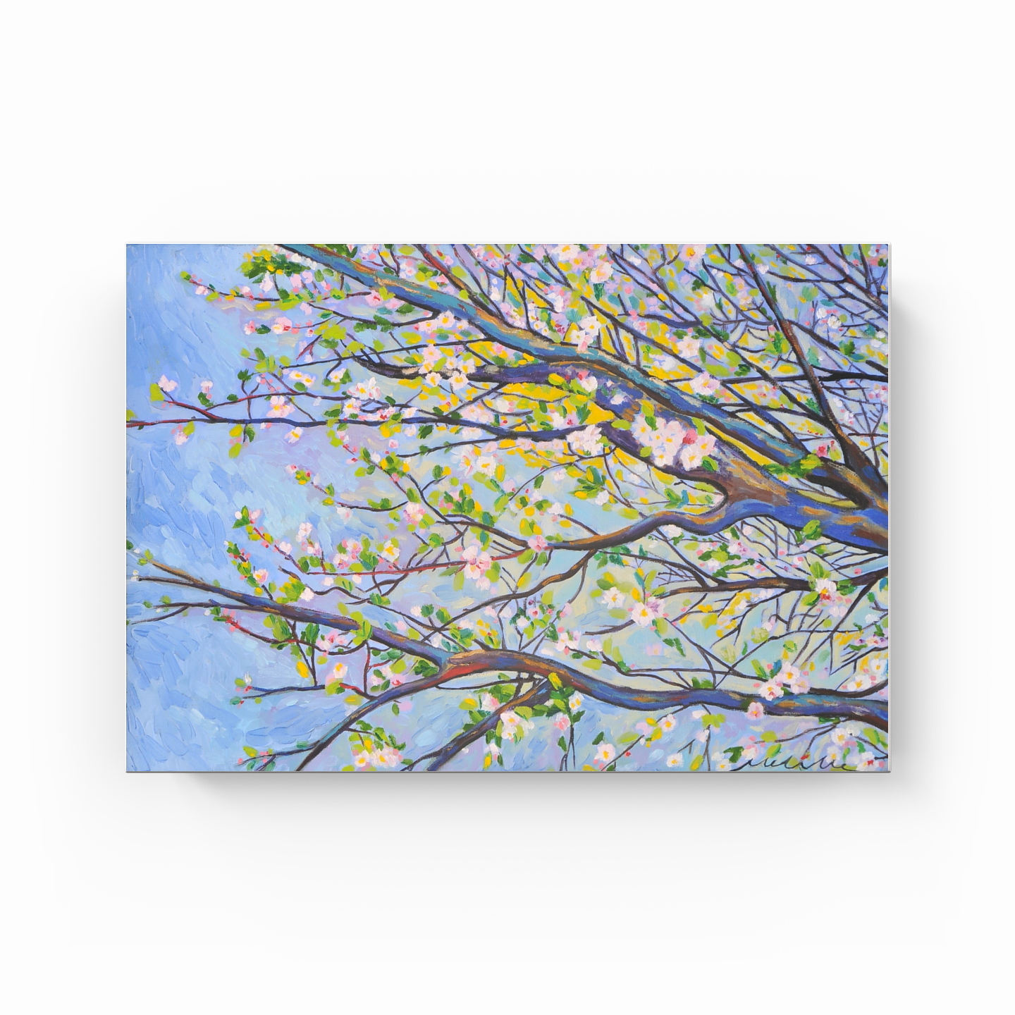 Bahardalı - Canvas Print