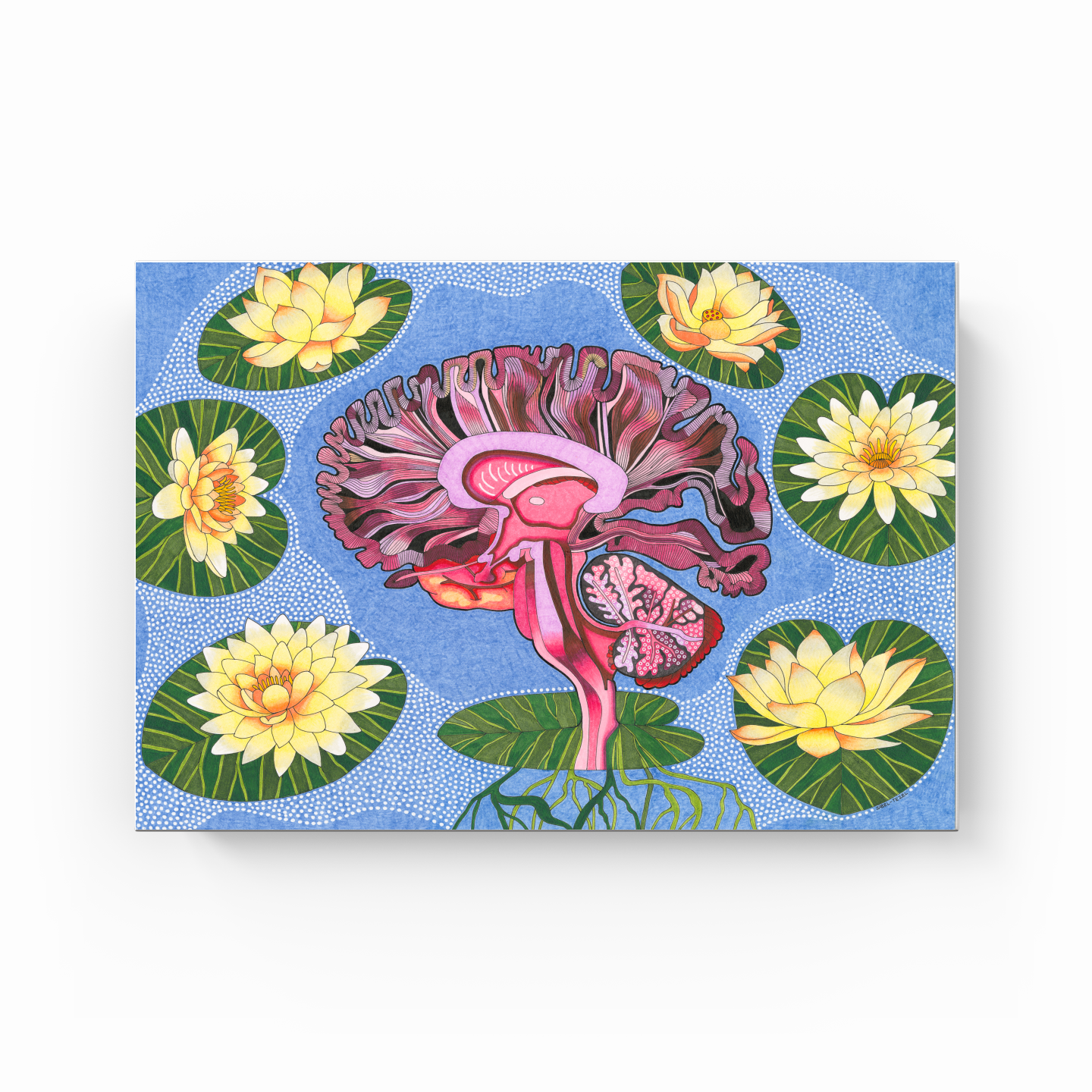 the wisdom of lotus - Canvas Print