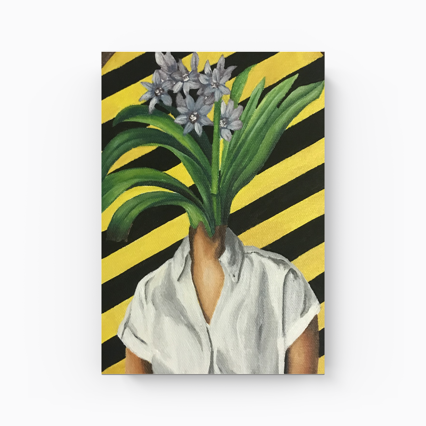 Spinster - Canvas Print