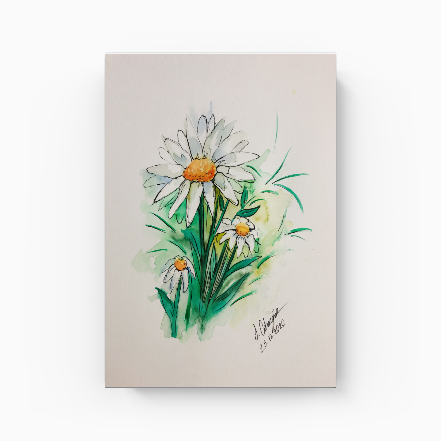 Daisy - Canvas Painting