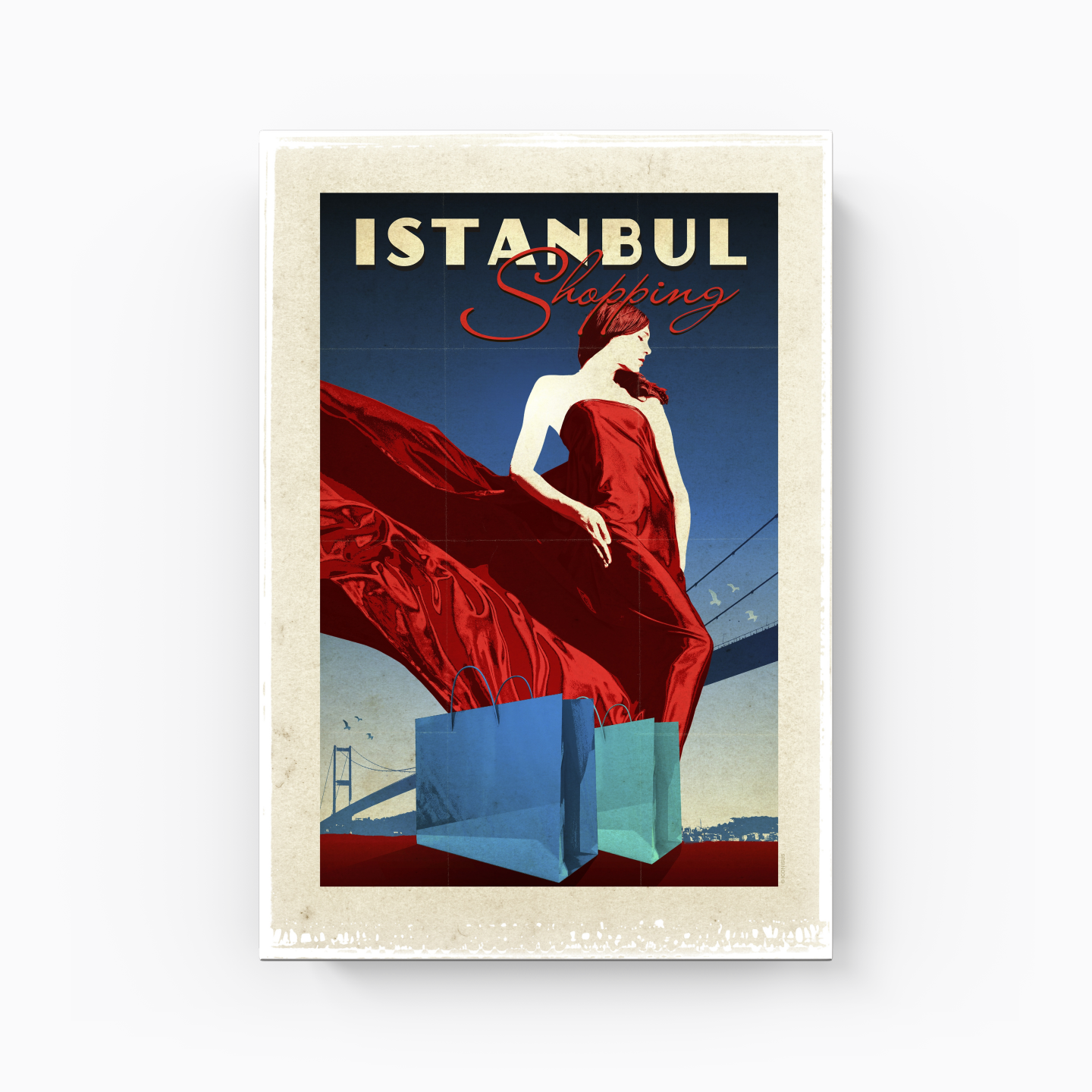 Istanbul Shopping - Canvas Print