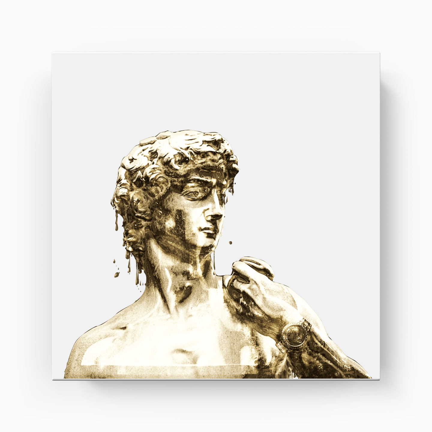 Statue - Canvas Print