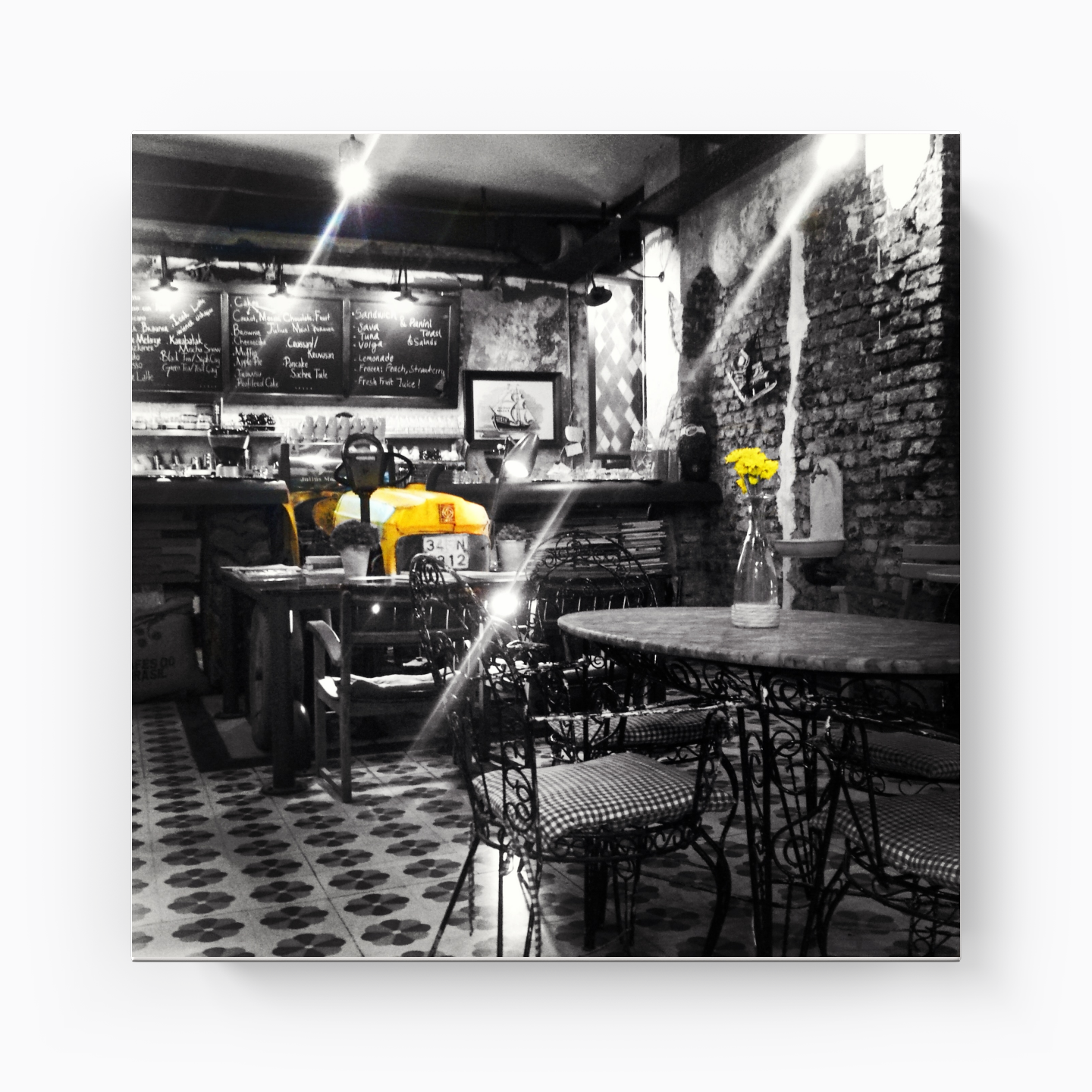 Cormorant - Canvas Print