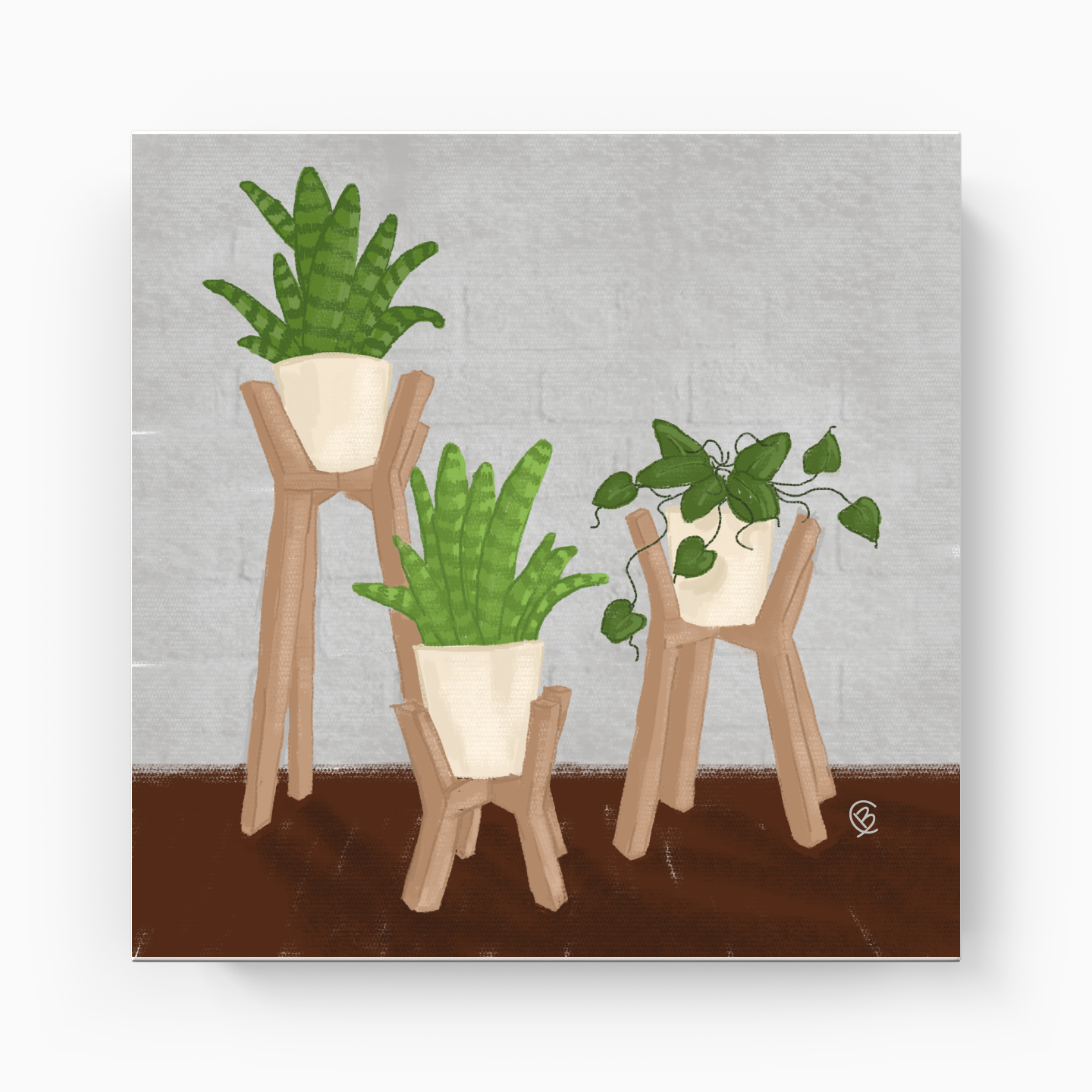 Plants in pots - Canvas Painting