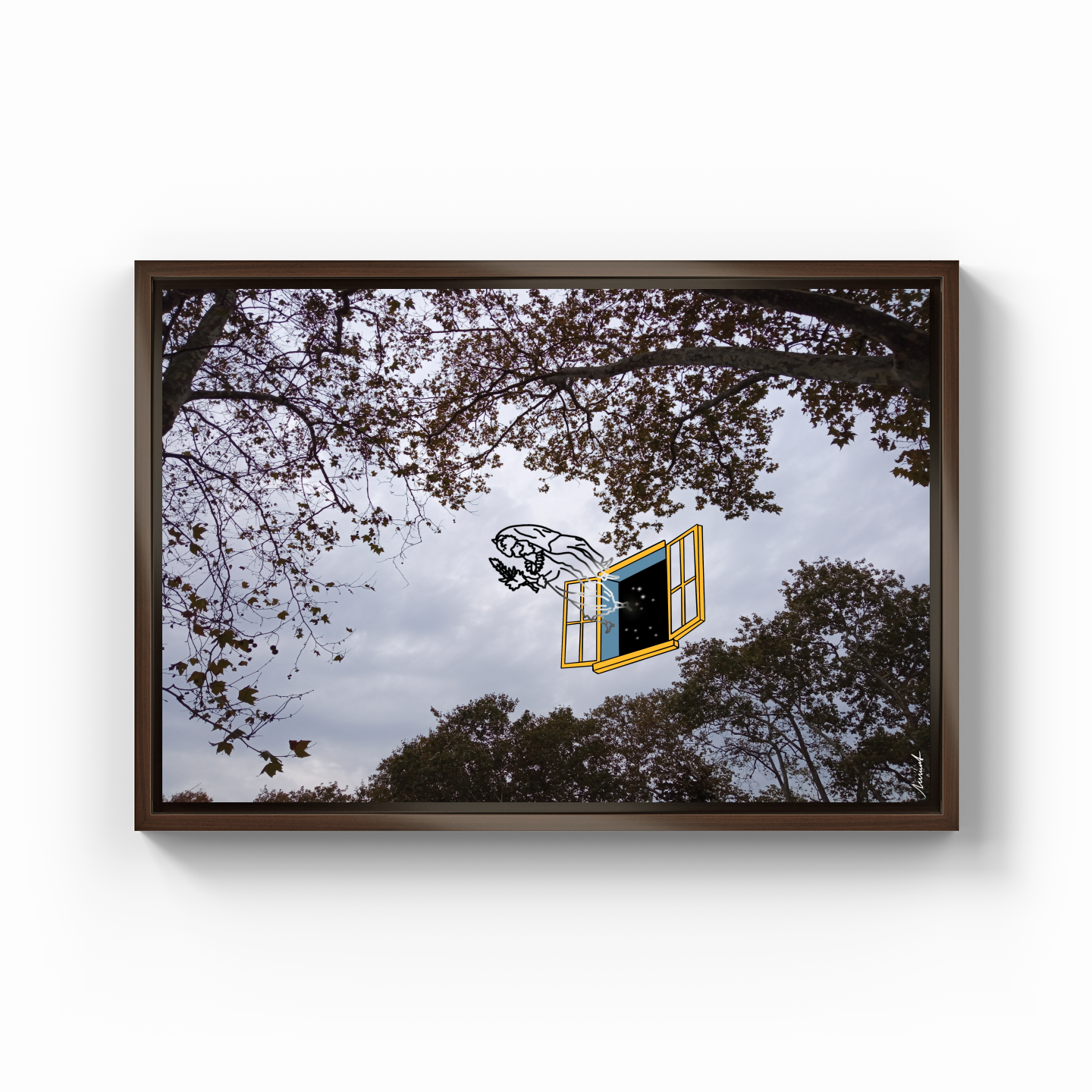 Sky - Canvas Print