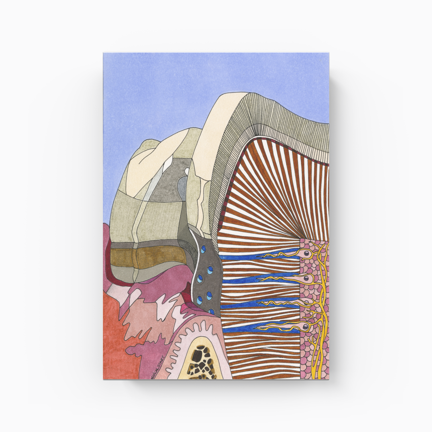 dental erosion - Canvas Print