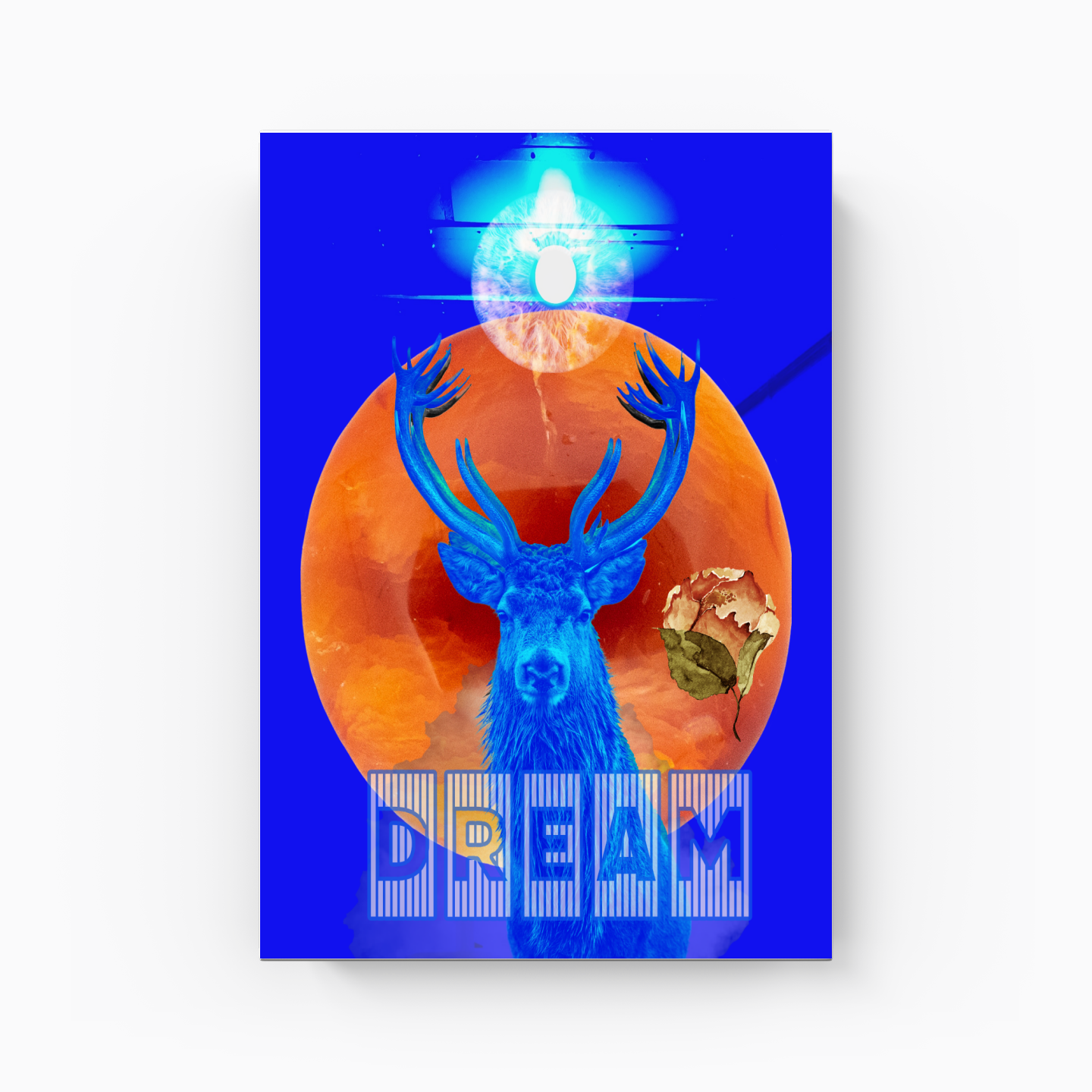 Dream - Canvas Print