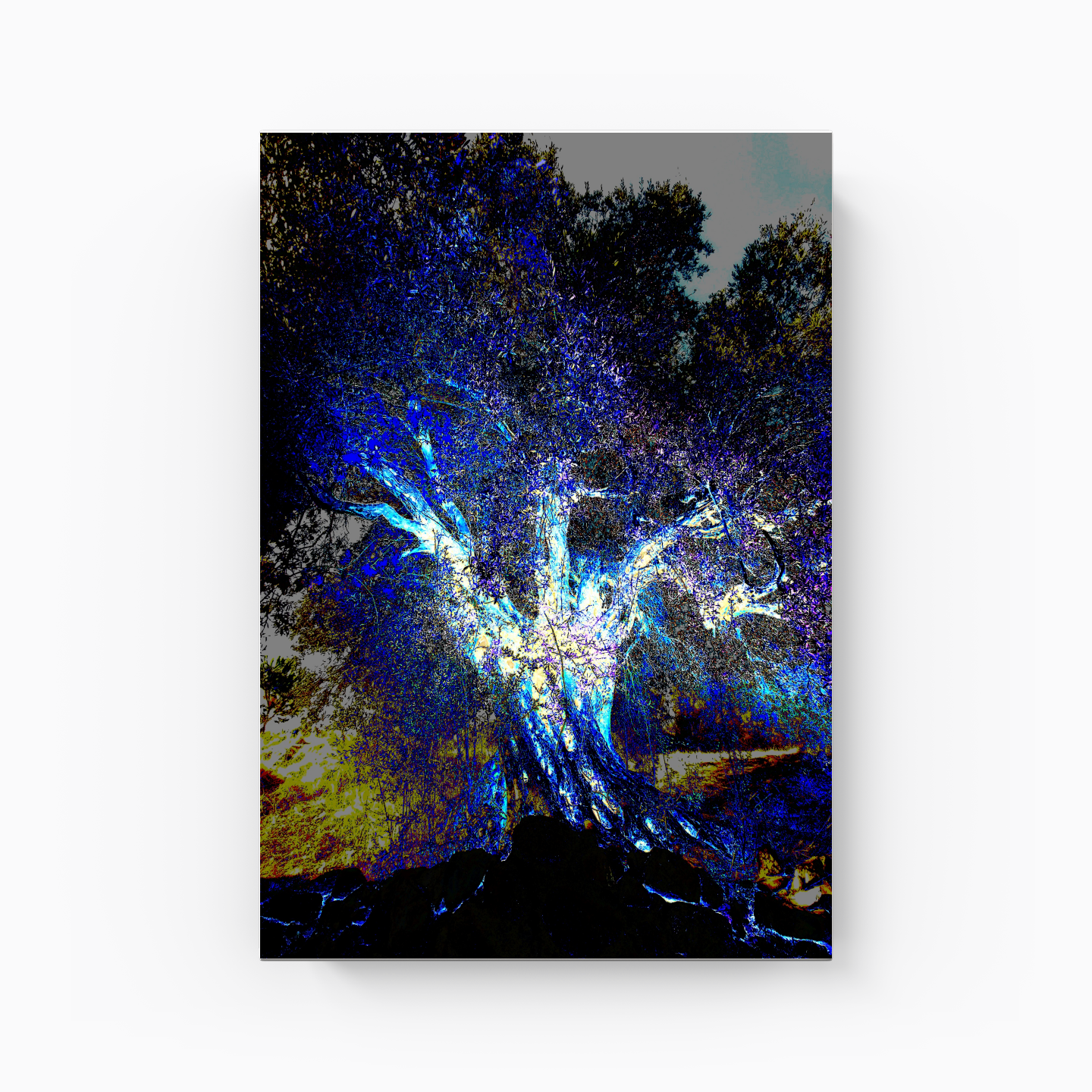 Energy - Canvas Print