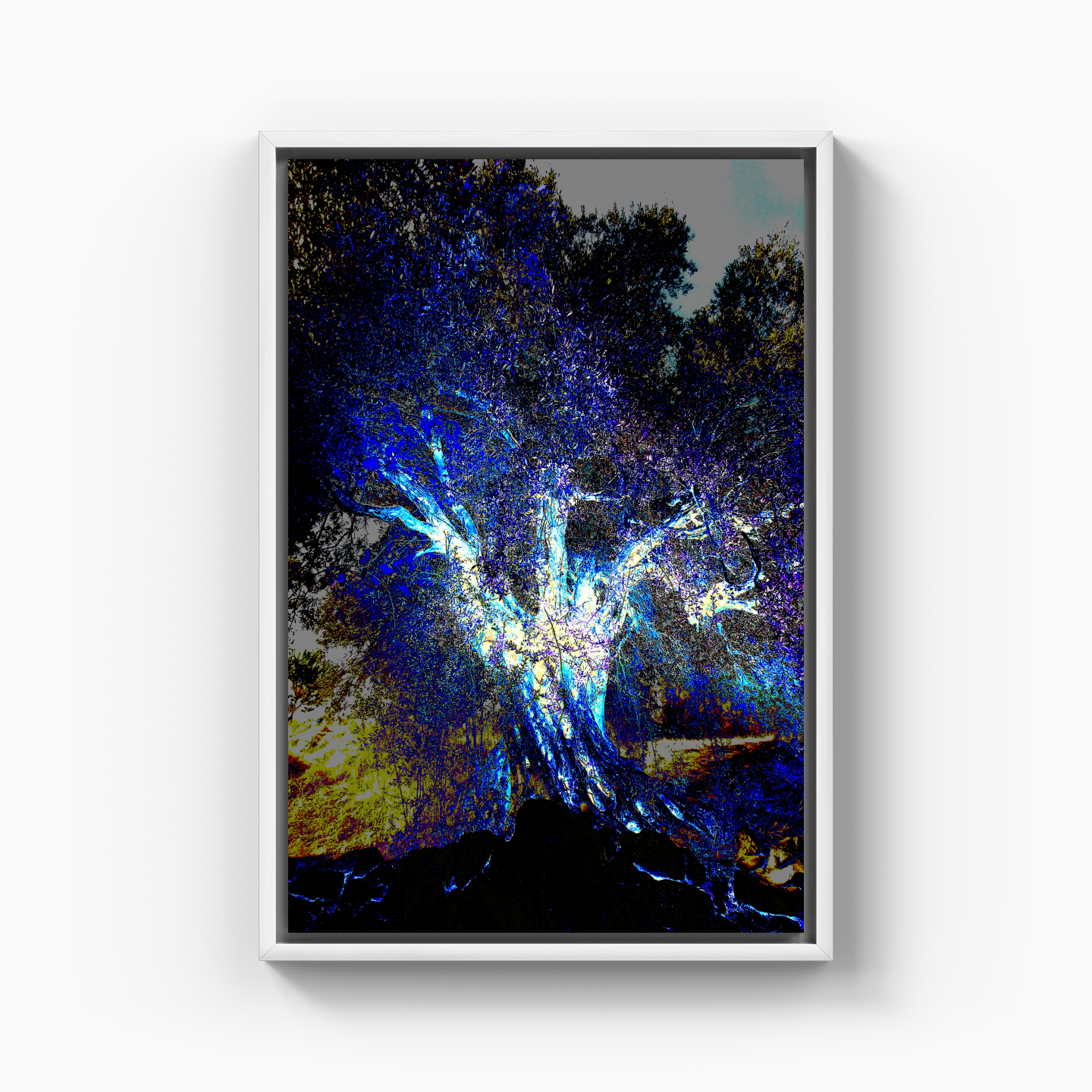 Energy - Canvas Print