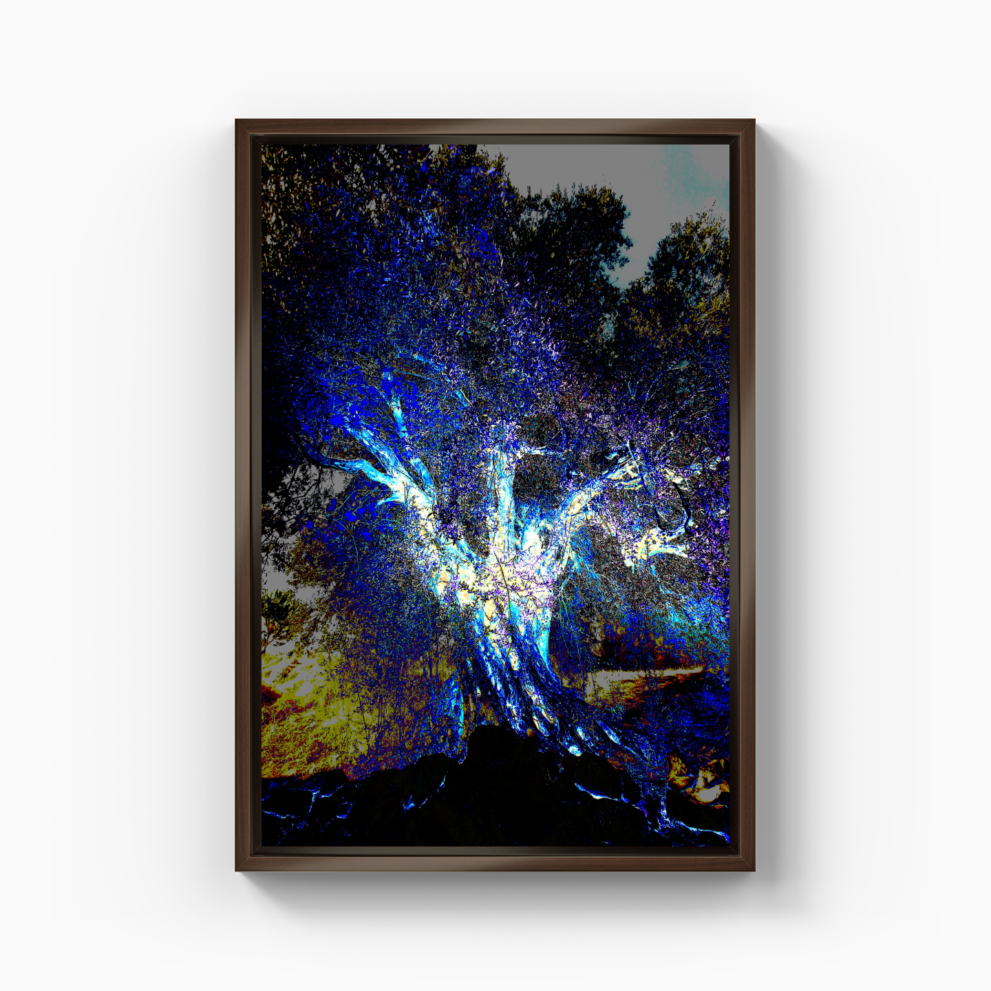 Energy - Canvas Print