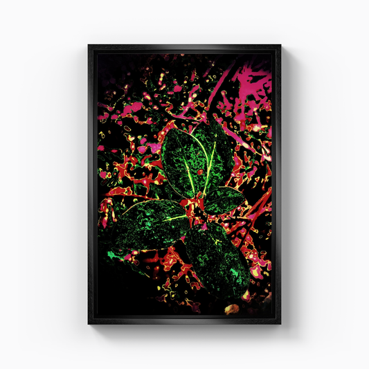 Life's expression - Kanvas Tablo