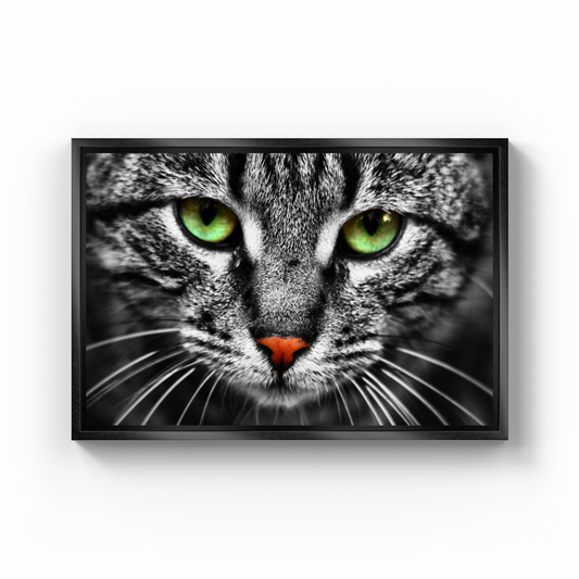 Cat Eyes - Canvas Painting