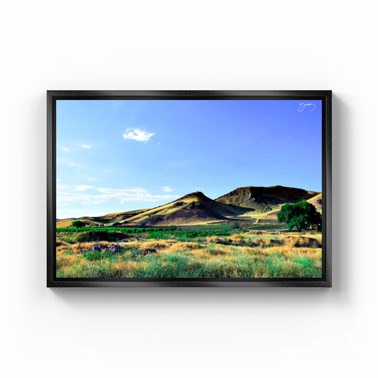 Karabayır - Canvas Print