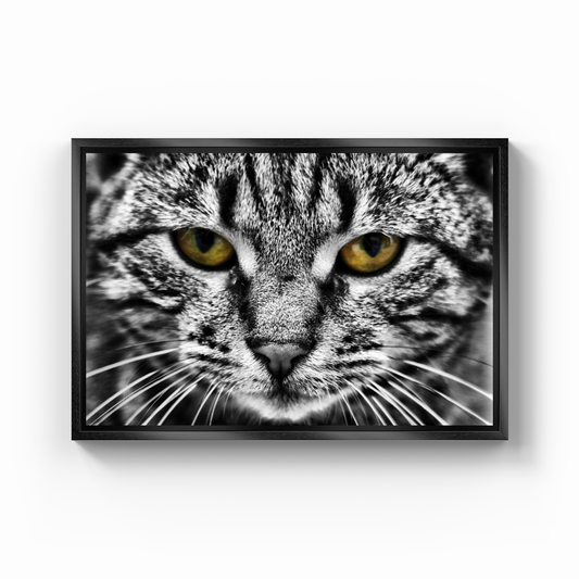 Bad Cat - Canvas Print