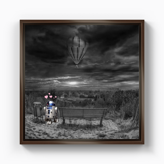 Love Place R2D2 - Canvas Print