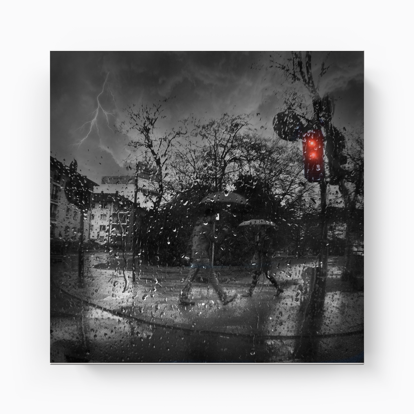 Rain - Canvas Print