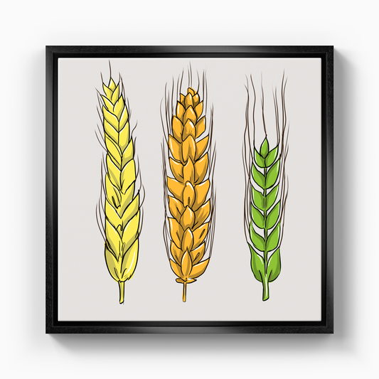 Buğday - Kanvas Tablo