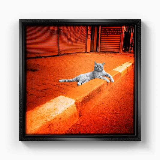 cat enjoyment - Canvas Print