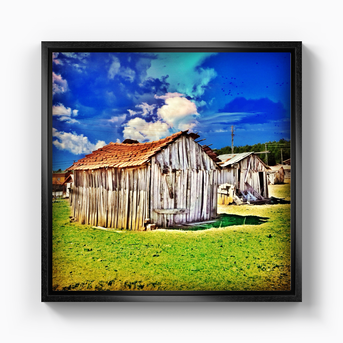 Shed - Canvas Print