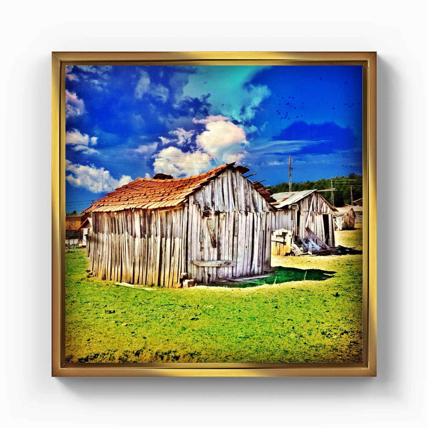 Shed - Canvas Print