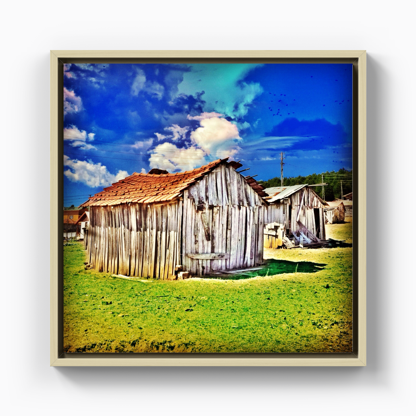 Shed - Canvas Print