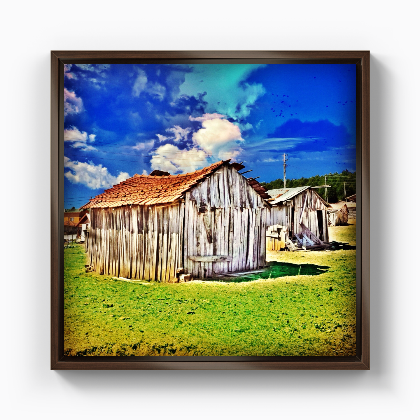 Shed - Canvas Print