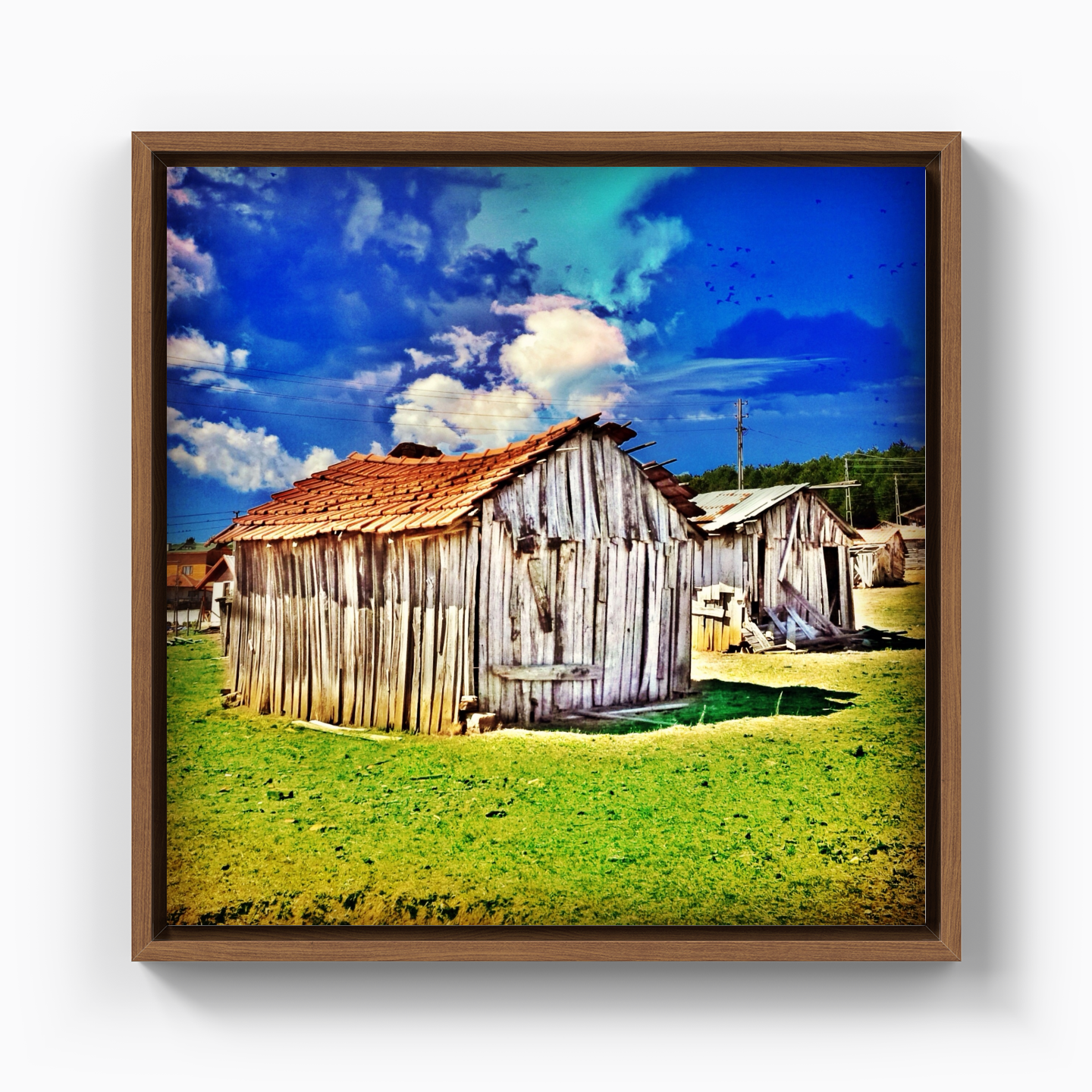 Shed - Canvas Print