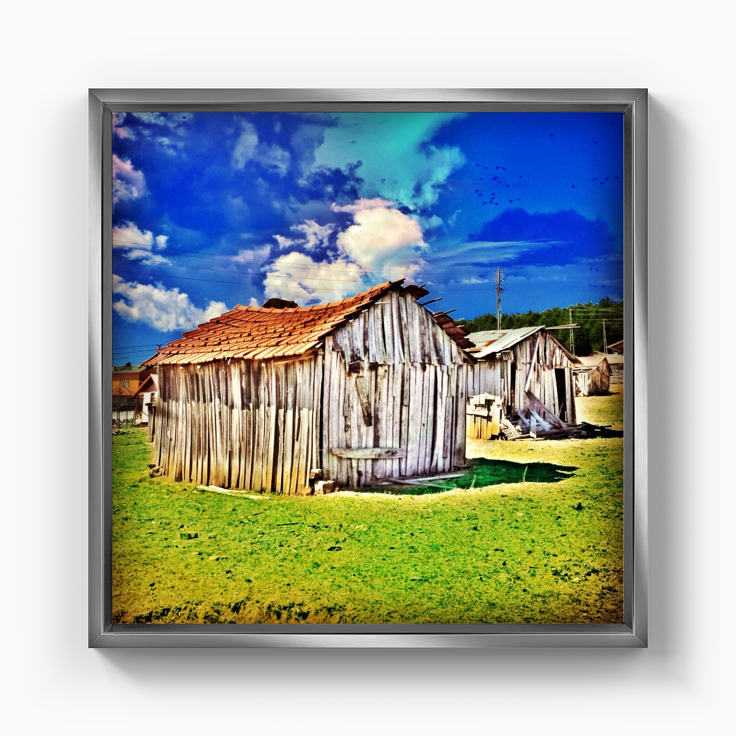Shed - Canvas Print