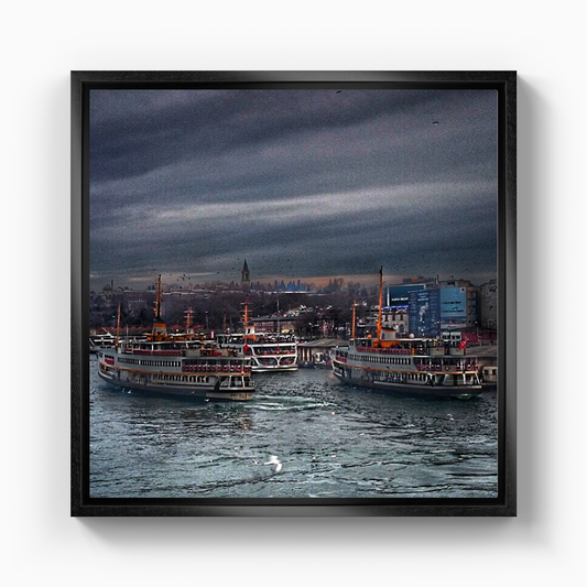 view - Canvas Print