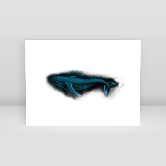 Blue Whale - Art Print