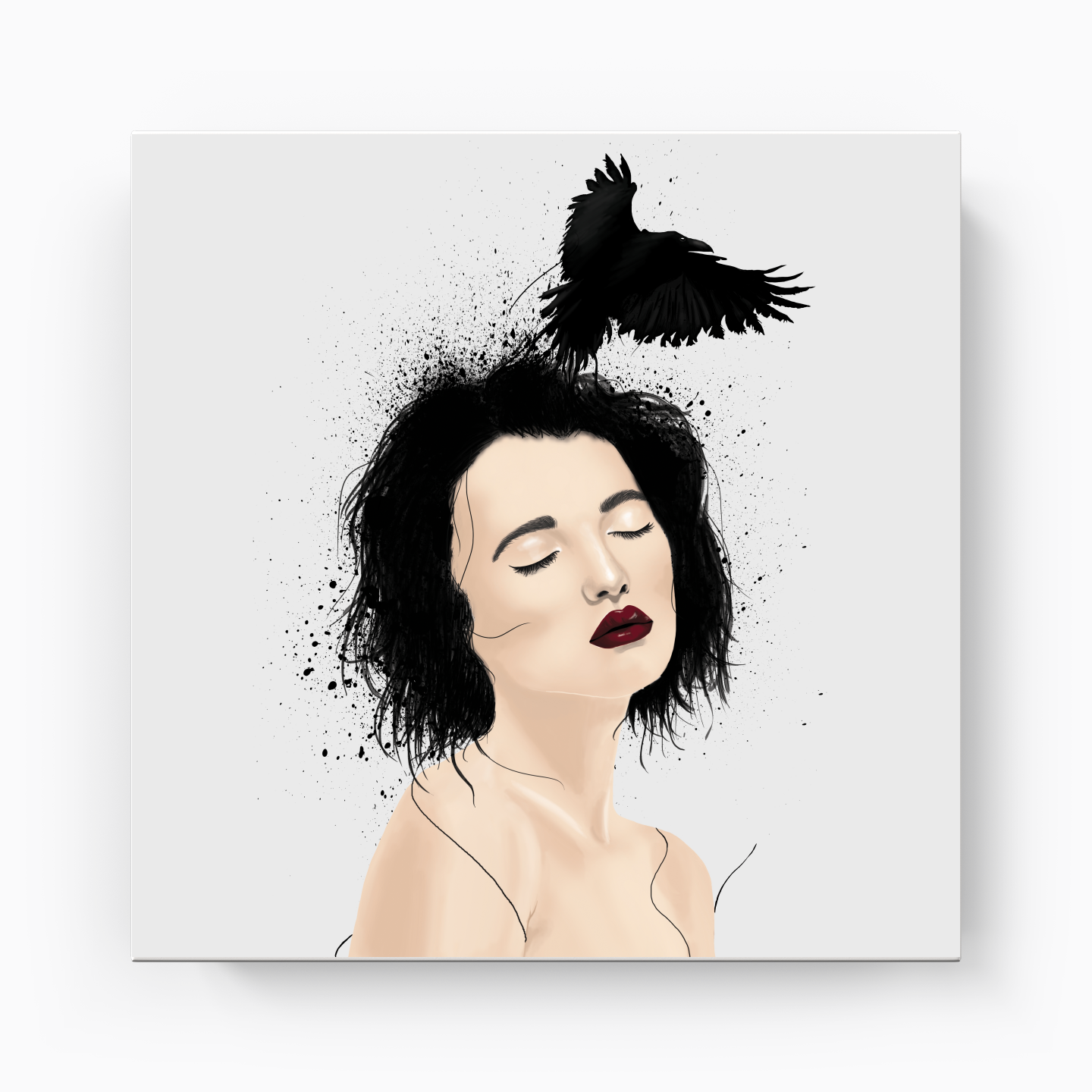 crow lady - Kanvas Tablo