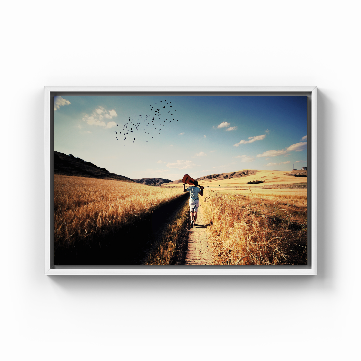 Freedom - Canvas Print