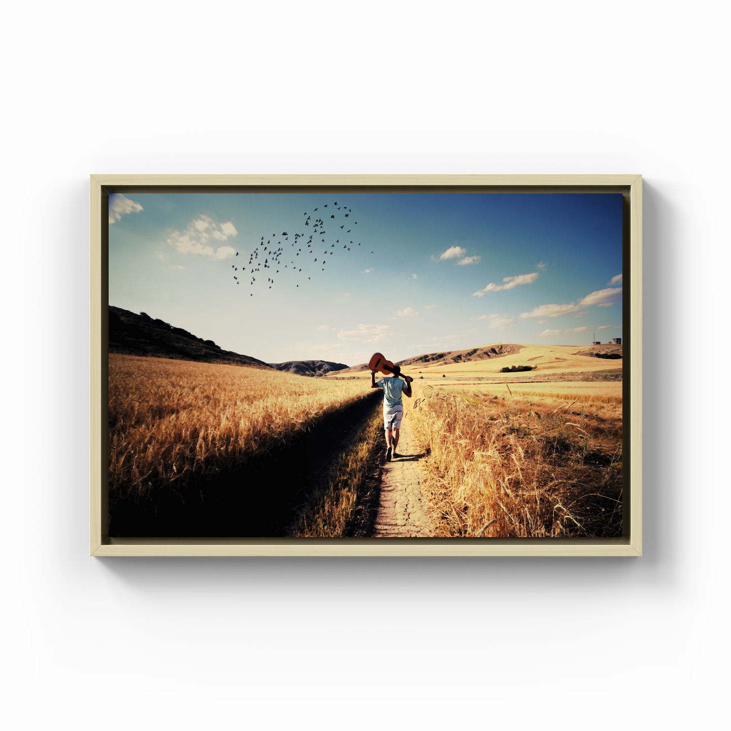 Freedom - Canvas Print