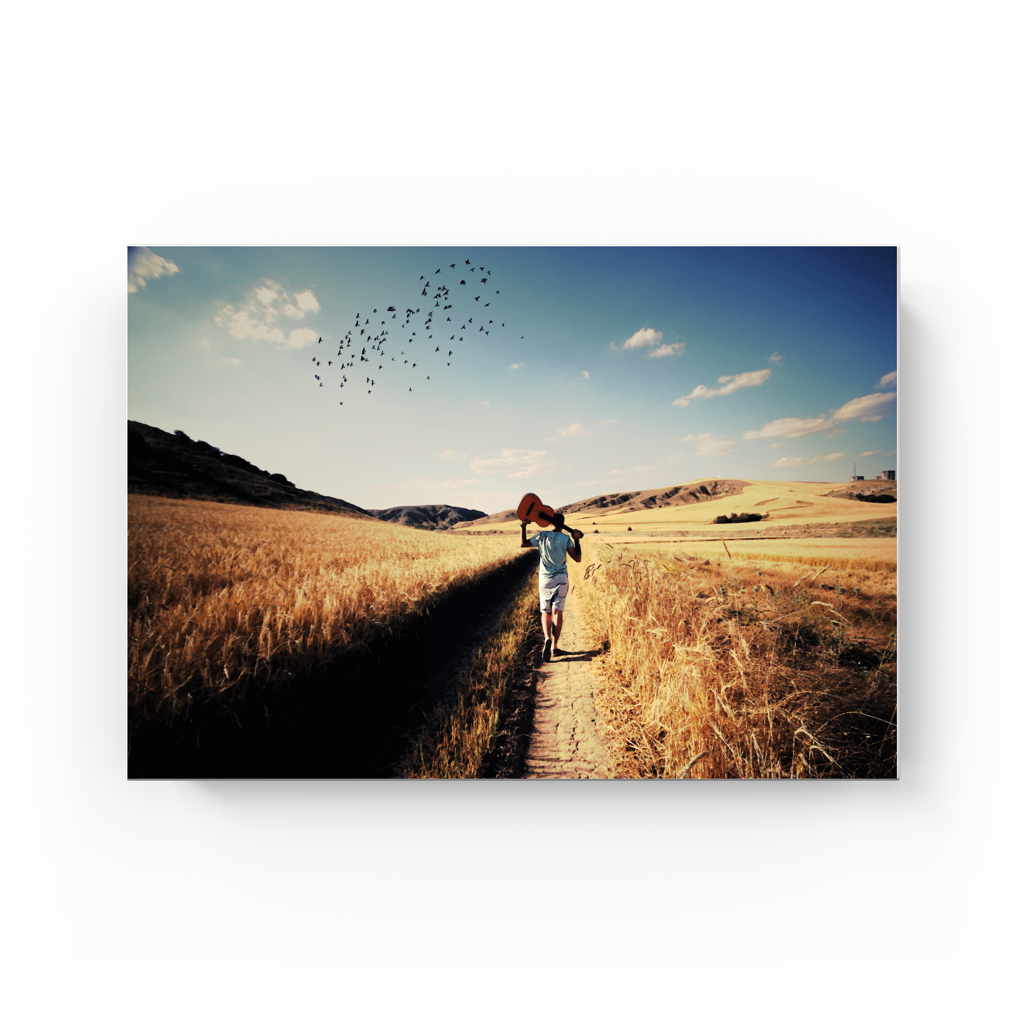 Freedom - Canvas Print