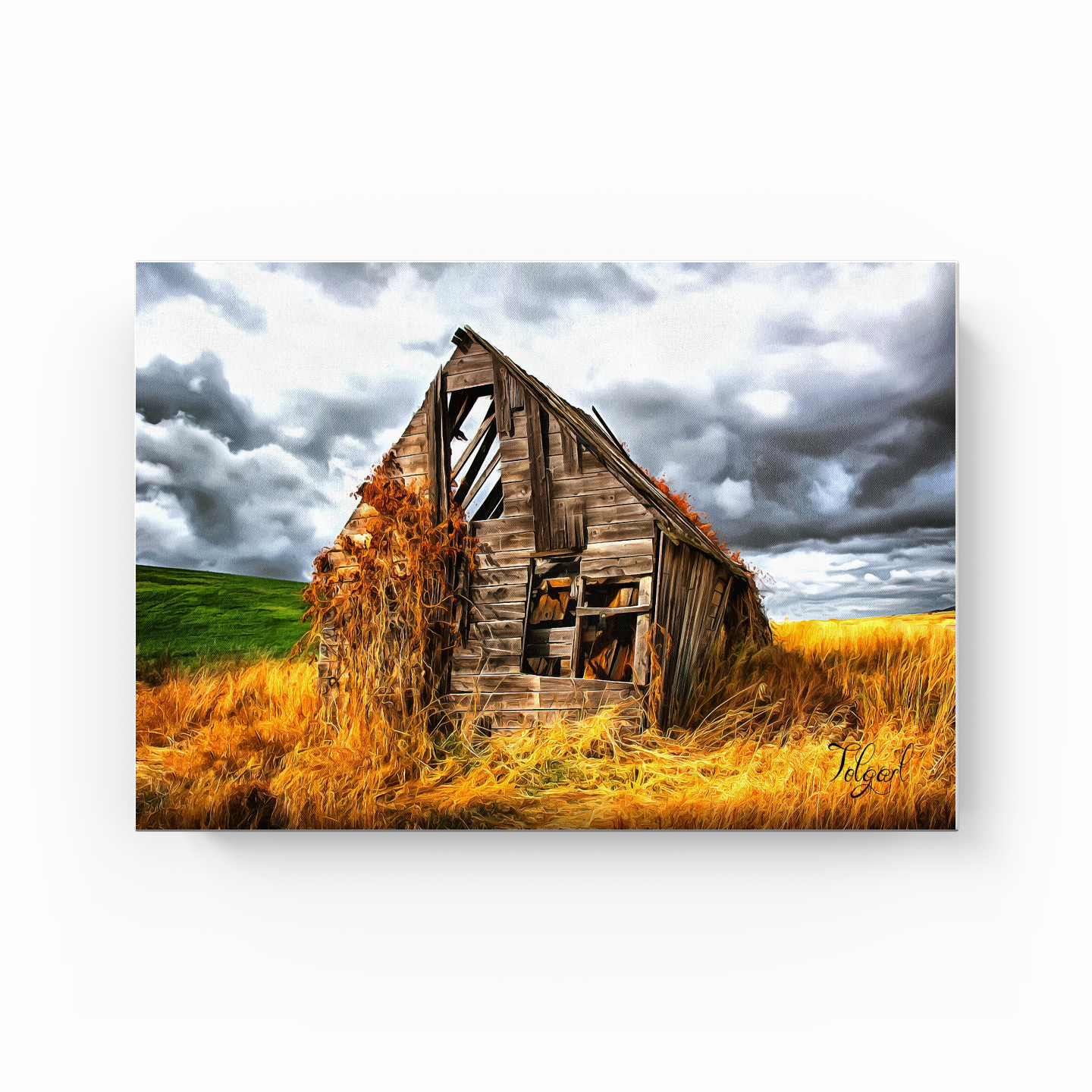 Land of Termination - Canvas Print