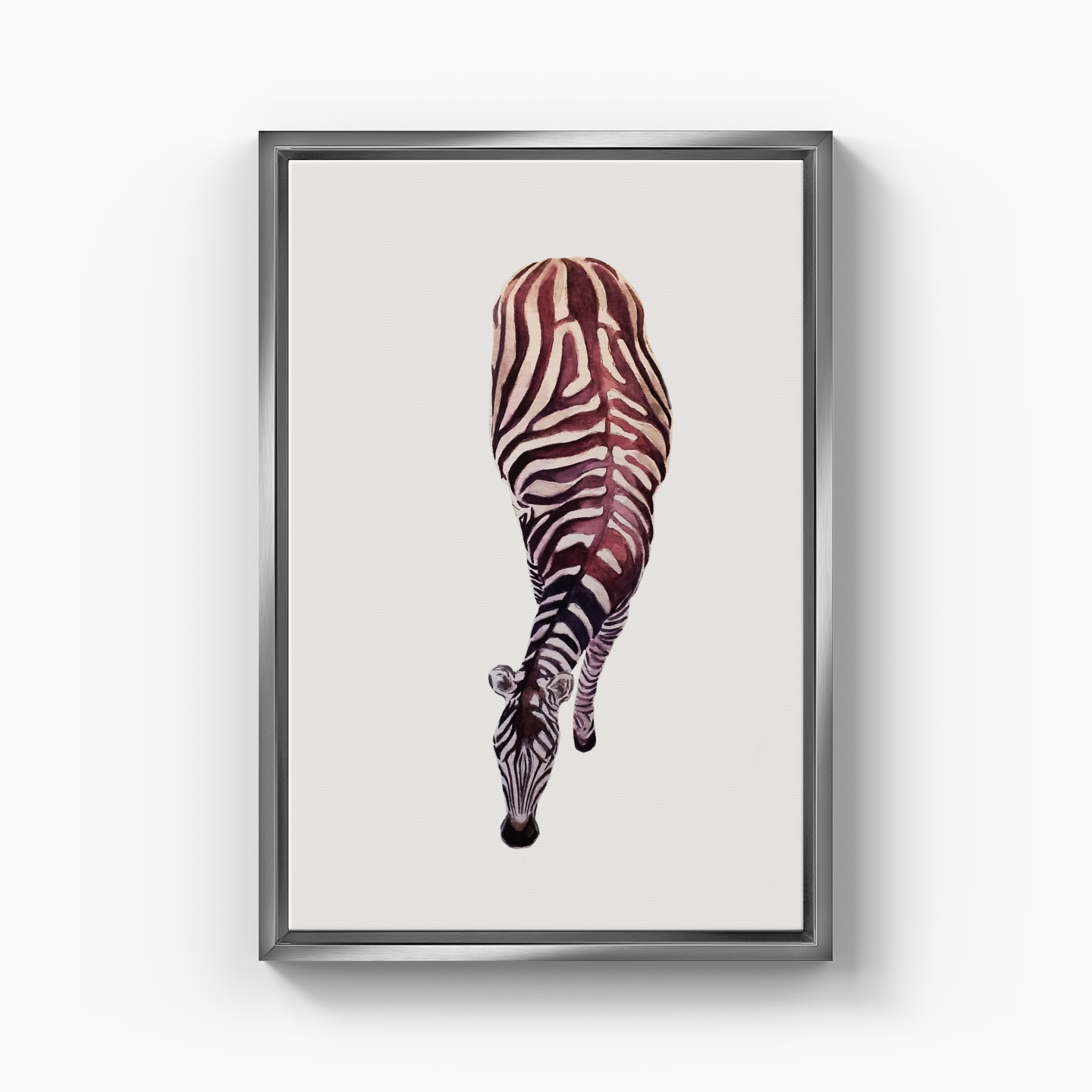 Zebra - Canvas Print