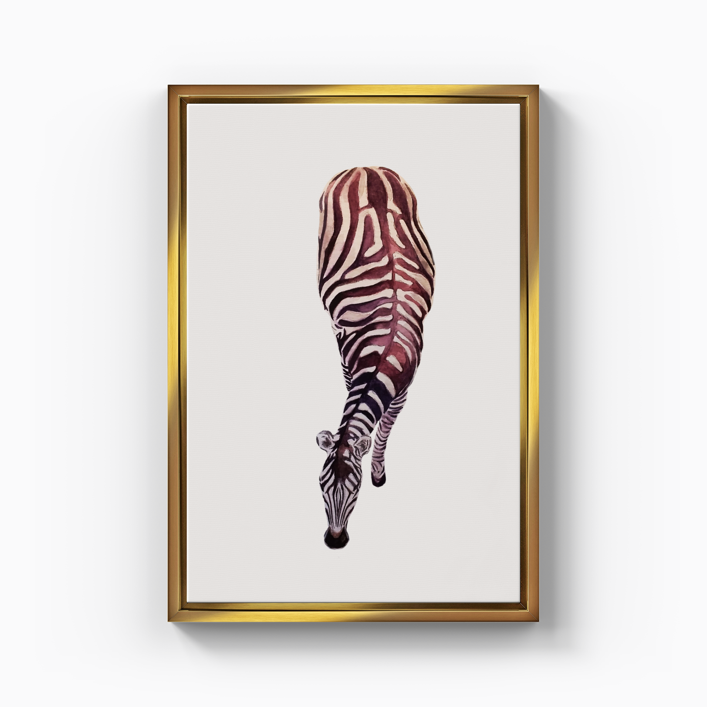 Zebra - Canvas Print