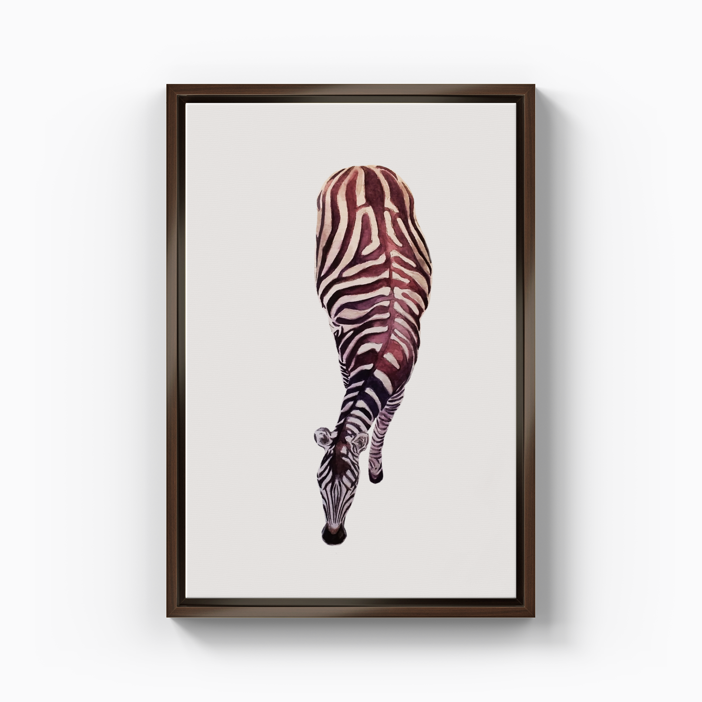 Zebra - Canvas Print