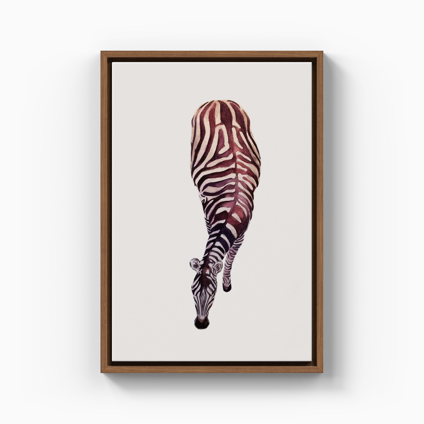 Zebra - Canvas Print