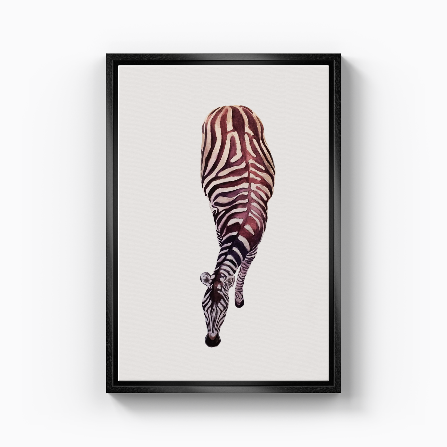 Zebra - Canvas Print