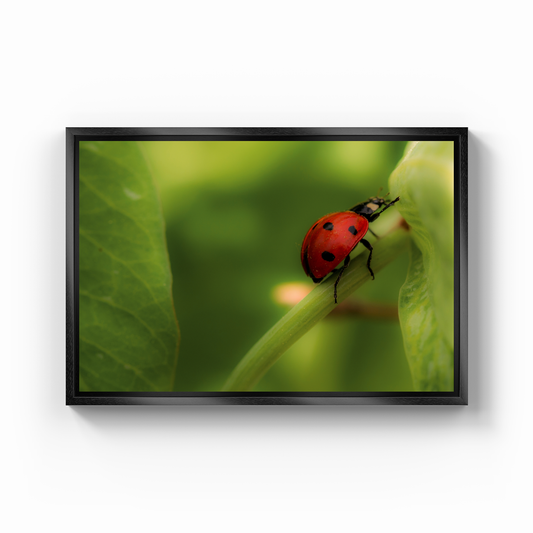 Uğur Böceği - Kanvas Tablo