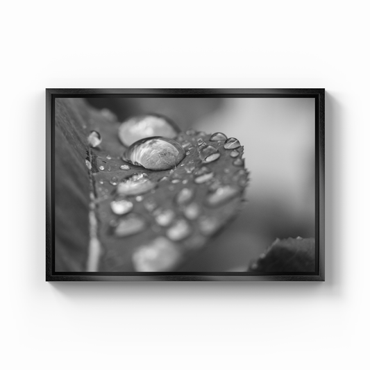 Damlalar - Kanvas Tablo