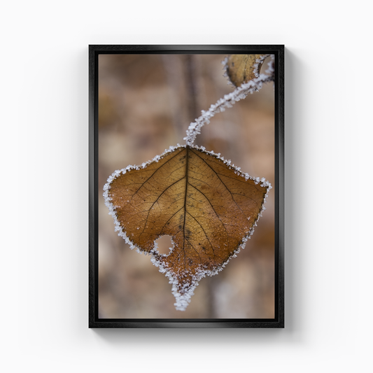 Yaprak - Kanvas Tablo